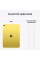 Apple iPad 11