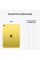 Apple iPad 11