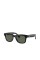 Meta Ray-Ban Wayfarer - Smart Glasses (Shiny Black/Green)