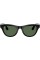 Смарт-окуляри Ray-Ban Meta Skyler Standard Shiny Black / G-15 Green (RW4010 601/71 52-20)