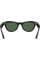 Смарт-окуляри Ray-Ban Meta Skyler Standard Shiny Black / G-15 Green (RW4010 601/71 52-20)