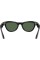 Смарт-окуляри Ray-Ban Meta Skyler Gen 2 Standard Shiny Black Frame / G-15 Green Lenses (RW4014 601/71 52-20)