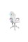 Cobra WS8153 RGB BT - WHITE