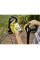 Мийка високого тиску Karcher K 7 Premium Smart Control 1.317-230.0 600 л/год Алюмінієвий насос 10 м