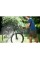 Мийка високого тиску Worx Hydroshot WG620E 120 л/год 6 м