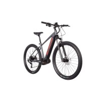 Електричний велосипед Bottecchia BE33 TEASER gray