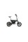 Електричний велосипед Sharp BK-AD04EB black