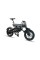 Електричний велосипед Sharp BK-AD04EB black
