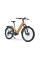 Електричний велосипед MS Energy C502 orange