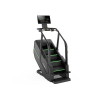 Тренажер сходи Gymost LT02 LED