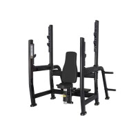Вертикальна лава Bauer Fitness PLM-550