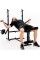Лава для штанги Zipro з лавою Скотта, жимом ногами та жимом для розгинання Ripped