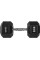 Гантель HMS Hex Pro з гумовим покриттям 1 x 22,5 кг