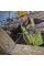 Акумуляторний ударний гайковерт DeWALT DCF887D2 (1/4
