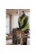 Акумуляторна кутова шліфувальна машина DeWALT DCG418NT 125 мм XR FlexVolt (54 В/без батареї) Tstak