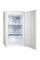 Морозильна камера Gorenje F391PW4