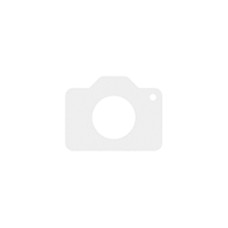 Духовка електрична Gorenje BPS6737E04DBG