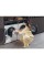 Пральна машина Haier I-Pro 7 Plus HW80-B14979TU1-S Slim 8кг 1400 об/хв