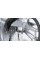 Пральна машина Siemens iQ500 WG56G2ZBPL 10 кг 1600 об/хв