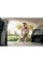 Пилосос Karcher WD 4 P V-20/5/22 1.628-272.0 1000W Насадка для підлоги