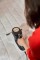 Пилосос Karcher VCH 4 UVClean 1.198-412.0 500 Вт