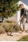 Пилосос Karcher WD 3 V-17/4/20 1.628-130.0 1000 Вт