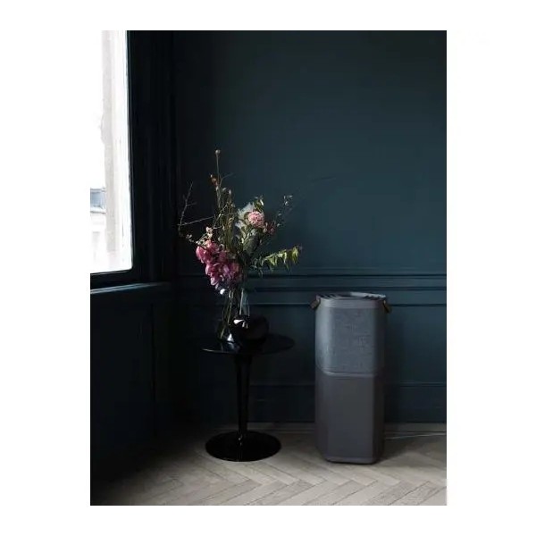 Очищувач повітря Electrolux Pure A9 PA91-604DG Іонізація