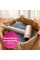 Фен Philips Hair Dryer Seria 8000 BHD837/10 Іонізація Дифузор Холодний потік 1400 Вт 3 швидкості 4 температури