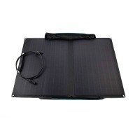 Сонячні панелі EcoFlow 110W