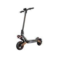 Електричний самокат Ruptor R3 v4 800 Вт 85 км 10