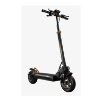 Електричний самокат Ruptor R1 Lite v2 500 Вт 60 км 10"  copper