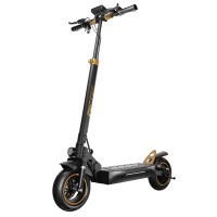 Електричний самокат Ruptor R1 Lite v2 500 Вт 60 км 10"  copper