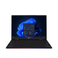 MSI Raider 18 i9-14900HX/64GB/2TB/Win11 RTX4090 120Hz