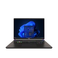 MSI Vector 17 HX i9-13980HX/32GB/1TB/Win11 RTX4090