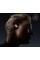 Бездротові навушники Bose QuietComfort Ultra Earbuds Bluetooth 5.3 Diamond 60TH