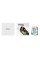 Відеокарта Zotac GeForce RTX 5060 Ti AMP 16GB GDDR7 128bit DLSS 4