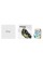 Відеокарта Zotac GeForce RTX 5060 AMP 8GB GDDR7 128bit DLSS 4