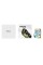 Відеокарта Zotac GeForce RTX 5060 SOLO 8GB GDDR7 128bit DLSS 4