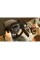 Коробка передач та ручне гальмо Thrustmaster TSS Handbrake для ПК, PS5, PS4, Xbox