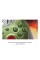 Pad Microsoft Xbox Series безпровідний для Xbox, PC версія DOOM: The Dark Ages