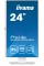 Монітор iiyama ProLite XUB2492HSU-W6 24