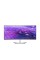 Монітор Dell UltraSharp U3824DW 38