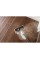 Пароочисник Karcher SC 1 Multi & Up 1.516-410.0 1300 Вт