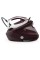 Парогенератор Tefal Pro Express Ultimate II GV9721