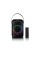 Bluetooth-колонка Lenco BTC-060BK 20 Вт Karaoke LED black