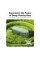 Bluetooth-колонка Soundcore Motion 100 20 Вт green