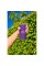 Bluetooth-колонка JBL Grip 16 Вт purple