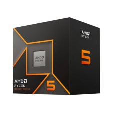 AMD Ryzen 5 9600