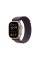 Apple Watch Ultra 2 Titanium/Indigo Alpine Loop S LTE