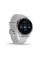 Смарт-годинник Garmin Venu 2S GPS сріблясто-білий